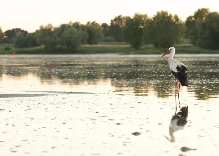 Kleine Residenz Am Tierpark 3*